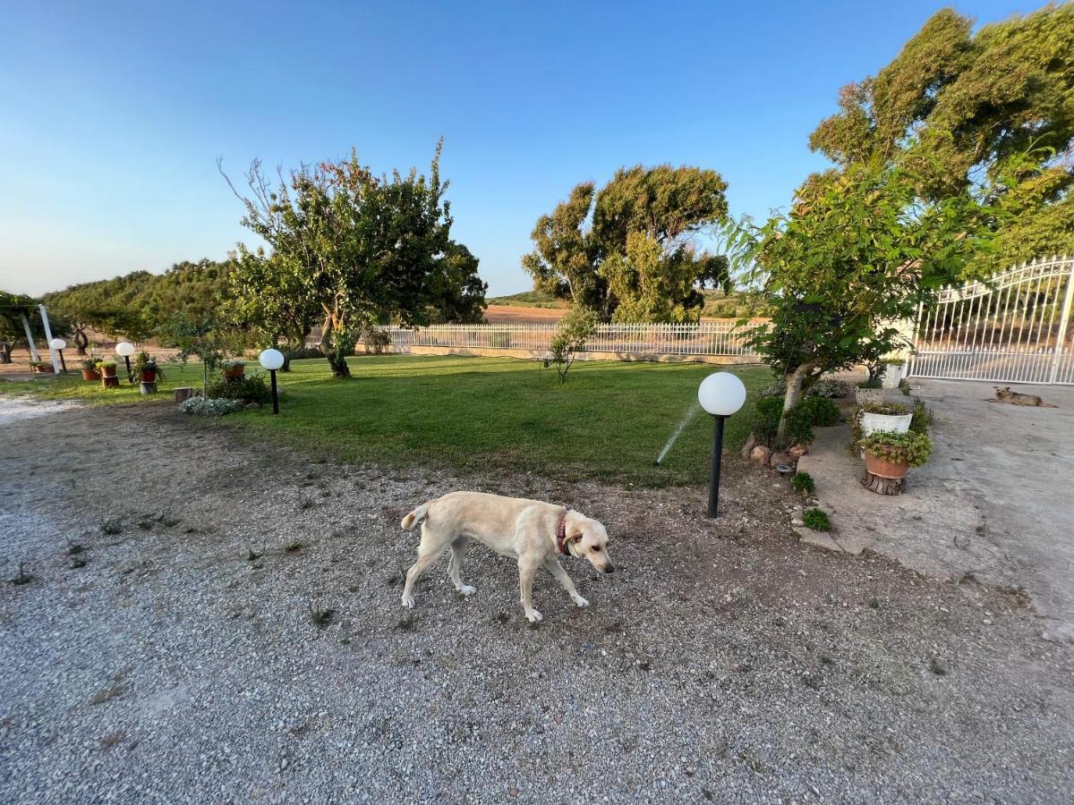 The Arches House Bed And Breakfast Iun F1092 Alghero Ngoại thất bức ảnh